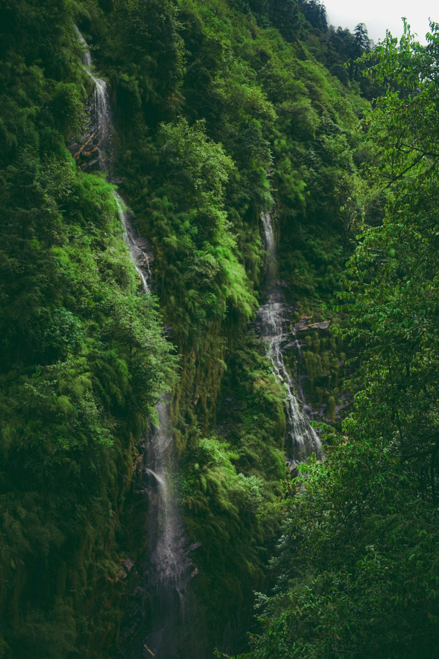 The Healing Power of Yoga and Hiking Combined