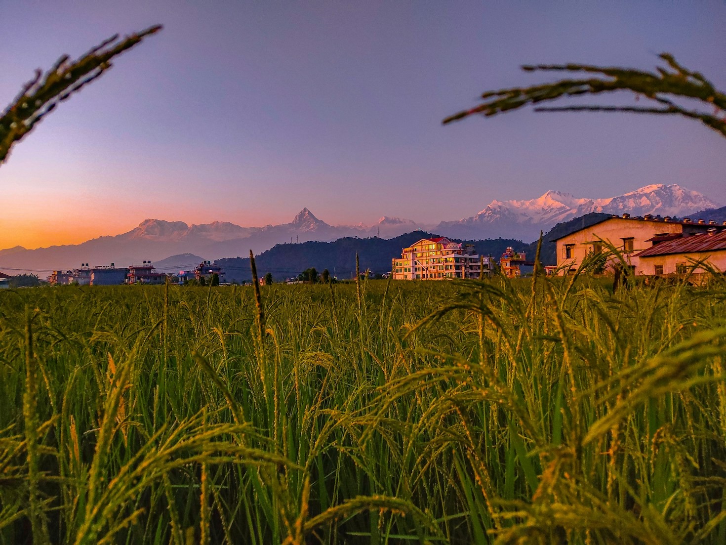 Why Nepal is Perfect for Yoga Enthusiasts